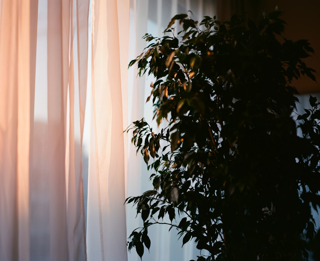 How to Choose the Perfect Curtains for Your Home How to Choose the Perfect Curtains for Your Home