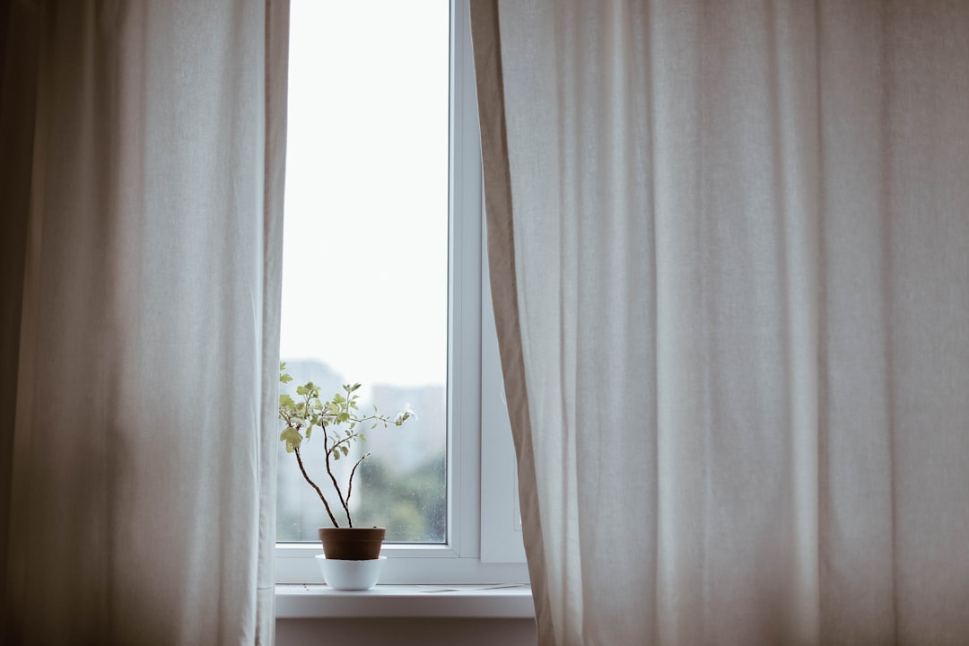 Discover the Latest Trends in Window Treatments at Vistahangs Discover the Latest Trends in Window Treatments at Vistahangs
